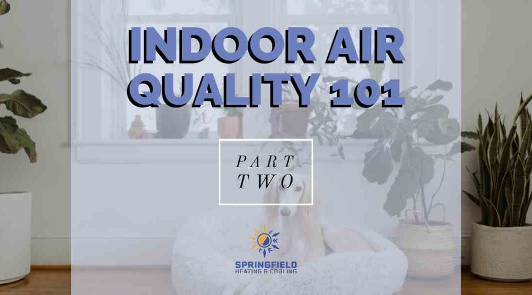 Indoor Air Quality 101 – Part 2: Health Effects of Indoor Air Pollution and Their Sources