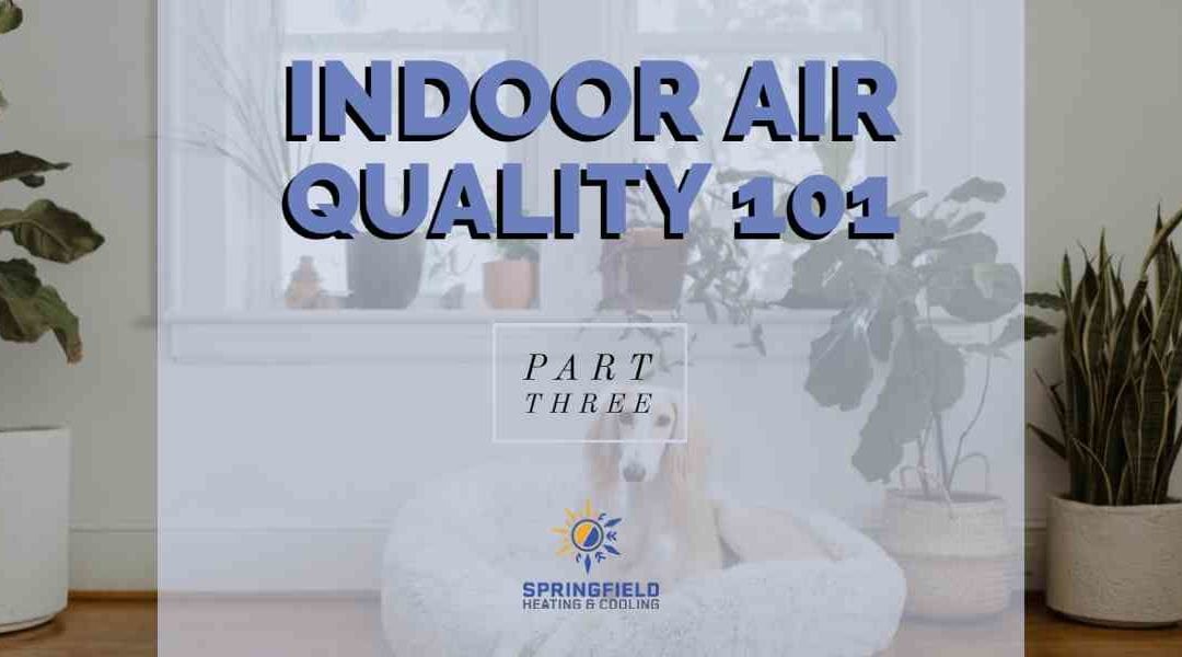 Indoor Air Quality 101 – Part 3: These Products & Services Will Improve Your Indoor Air Quality